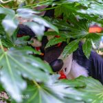 DSC07627-2160x2160(1)