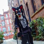 DSC07660-3238x2160(1)