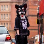 photo_2025-02-09_12-44-20 (4)